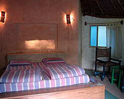 Rooms of Jungle Brook Camp Resort